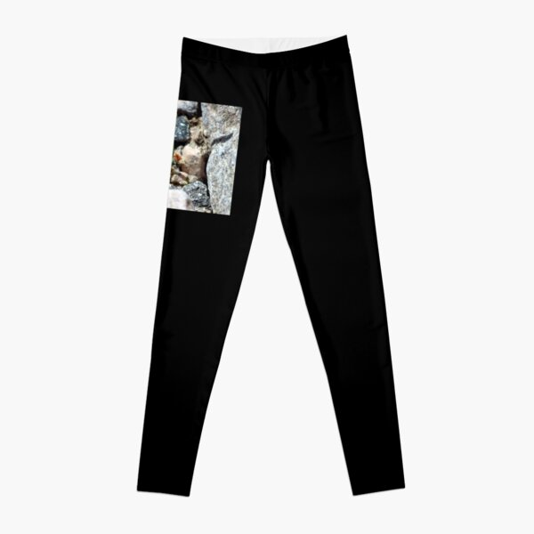 Nature is Art in Coachella Valley Wildlife Preserve   Leggings RB2410 product Offical coachella Merch