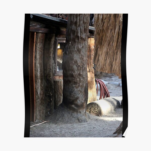 Cabin Behind Palm Trees Coachella Wildlife Preserve   Poster RB2410 product Offical coachella Merch