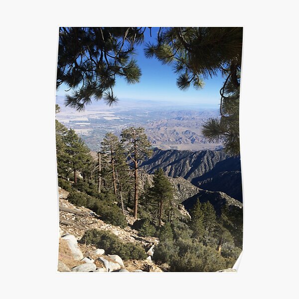 Coachella Valley Poster RB2410 product Offical coachella Merch