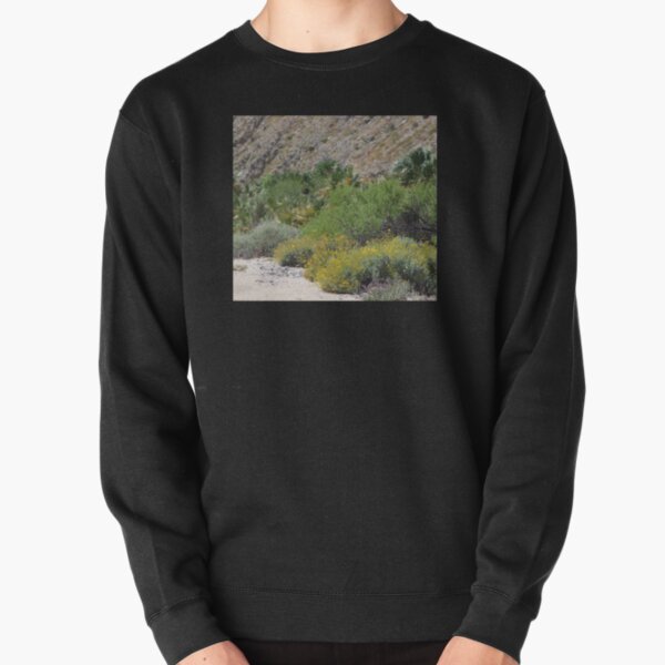 Desert Scene 3 Coachella Valley Wildlife Preserve   Pullover Sweatshirt RB2410 product Offical coachella Merch
