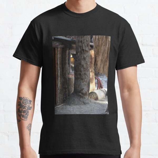 Cabin Behind Palm Trees Coachella Wildlife Preserve   Classic T-Shirt RB2410 product Offical coachella Merch