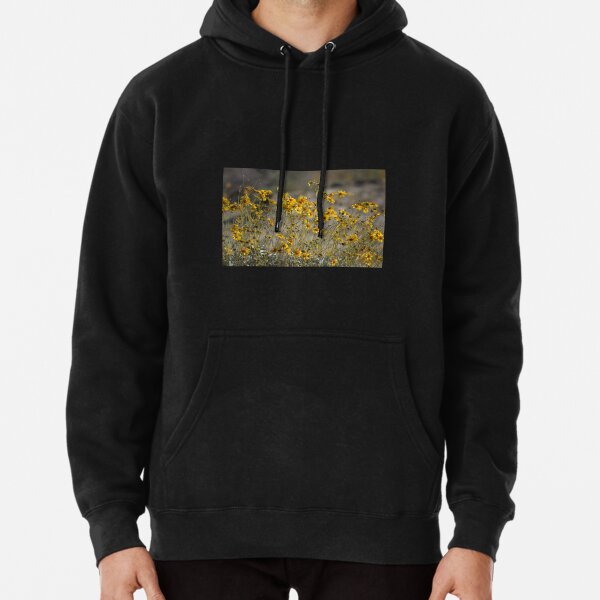Brittle Bush 4 At Coachella Wildlife Preserve   Pullover Hoodie RB2410 product Offical coachella Merch