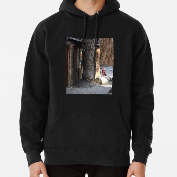 Cabin Behind Palm Trees Coachella Wildlife Preserve   Pullover Hoodie RB2410 product Offical coachella Merch