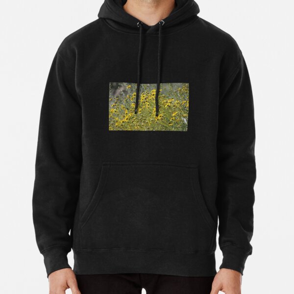 Brittle Bush 3 At Coachella Wildlife Preserve   Pullover Hoodie RB2410 product Offical coachella Merch