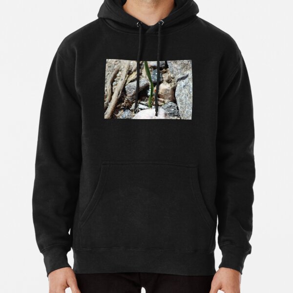 Nature is Art in Coachella Valley Wildlife Preserve   Pullover Hoodie RB2410 product Offical coachella Merch