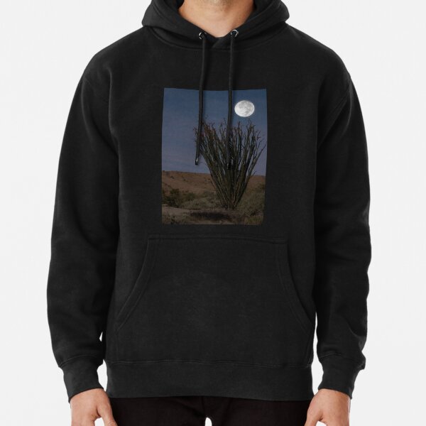 Desert Coral Cactus in Moonlight Coachella Preserve   Pullover Hoodie RB2410 product Offical coachella Merch