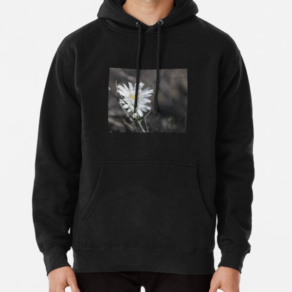 Desert Chicory Coachella Valley Wildlife Preserve   Pullover Hoodie RB2410 product Offical coachella Merch