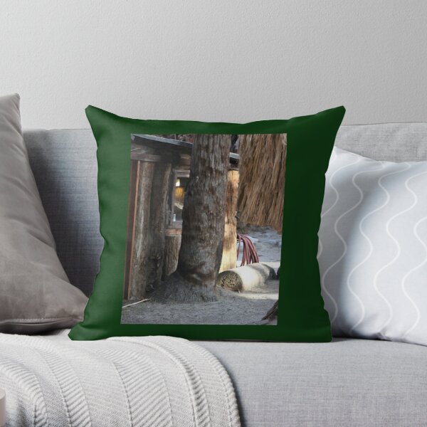 Cabin Behind Palm Trees Coachella Wildlife Preserve   Throw Pillow RB2410 product Offical coachella Merch