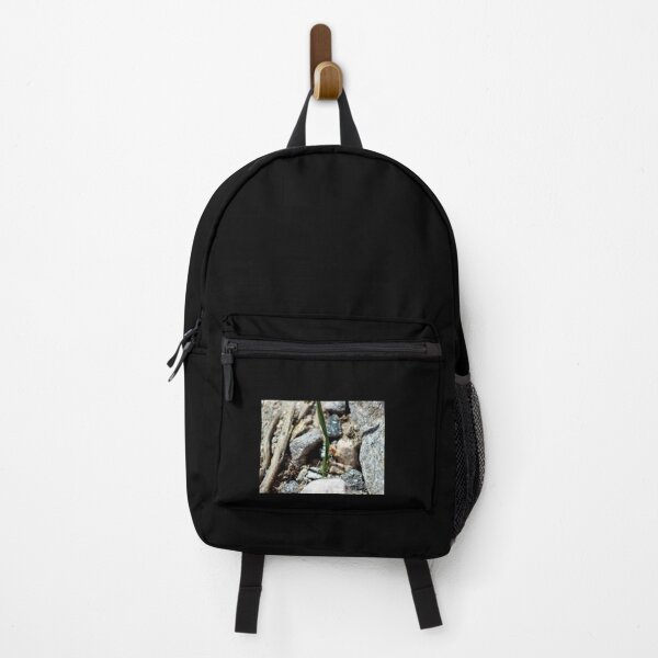 Nature is Art in Coachella Valley Wildlife Preserve   Backpack RB2410 product Offical coachella Merch