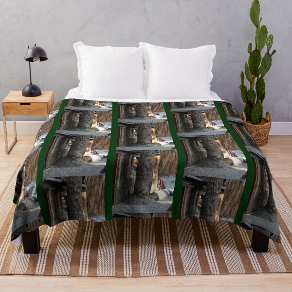 Cabin Behind Palm Trees Coachella Wildlife Preserve   Throw Blanket RB2410 product Offical coachella Merch