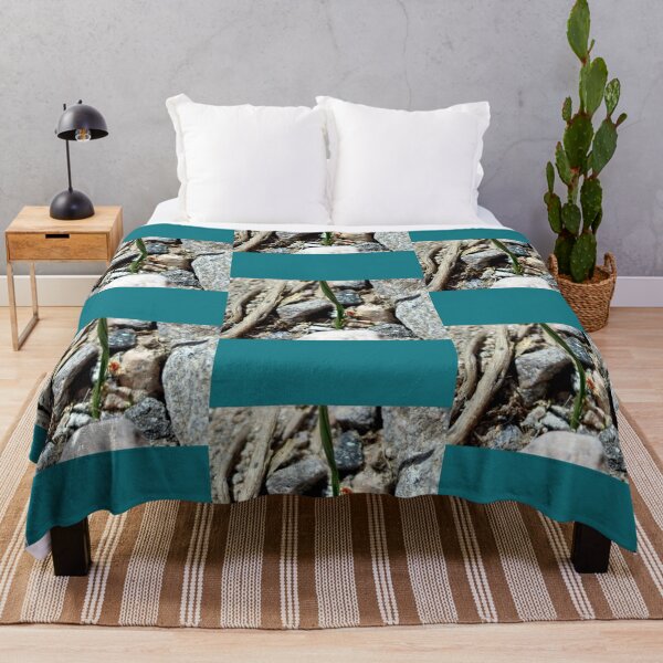 Nature is Art in Coachella Valley Wildlife Preserve   Throw Blanket RB2410 product Offical coachella Merch