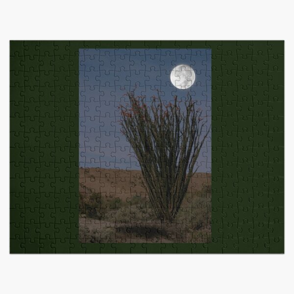 Desert Coral Cactus in Moonlight Coachella Preserve   Jigsaw Puzzle RB2410 product Offical coachella Merch