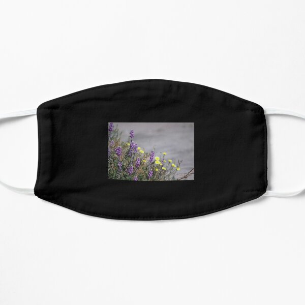 Arial Raid on Flowers Coachella Preserve   Flat Mask RB2410 product Offical coachella Merch